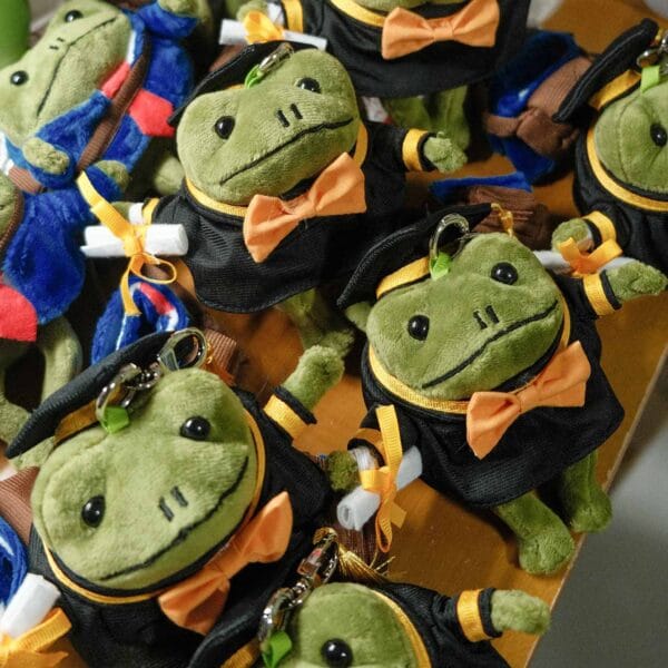 DSCF6249-scaled2 Robert plushie graduation set