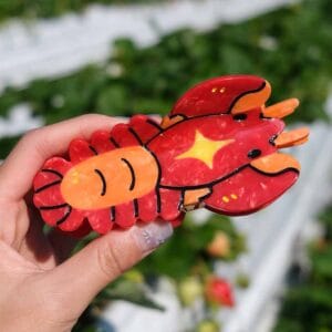 DSCF9526-3 Lobster claw clip